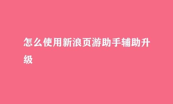 怎么使用新浪页游助手辅助升级