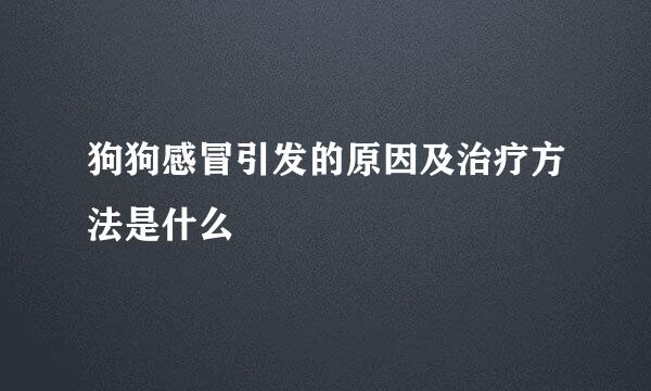 狗狗感冒引发的原因及治疗方法是什么
