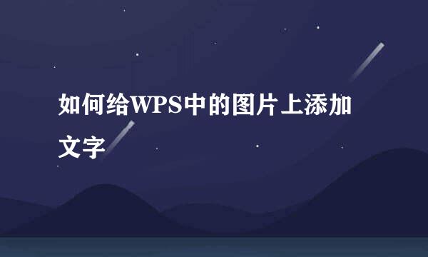 如何给WPS中的图片上添加文字