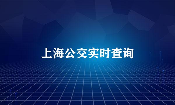 上海公交实时查询