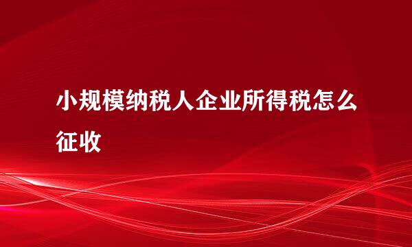 小规模纳税人企业所得税怎么征收