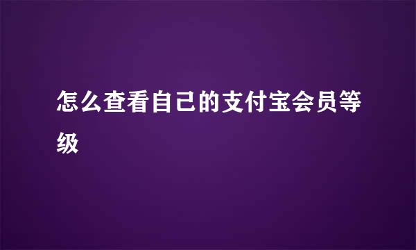 怎么查看自己的支付宝会员等级