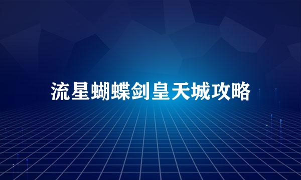 流星蝴蝶剑皇天城攻略
