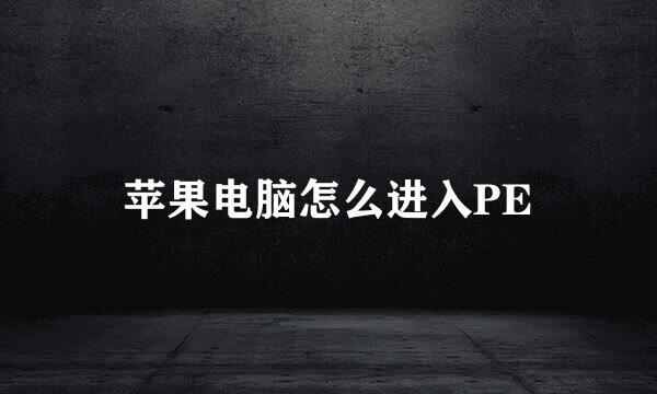 苹果电脑怎么进入PE