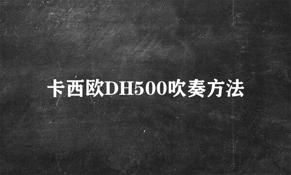 卡西欧DH500吹奏方法
