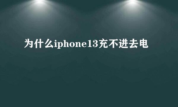 为什么iphone13充不进去电