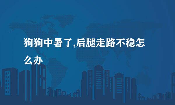 狗狗中暑了,后腿走路不稳怎么办