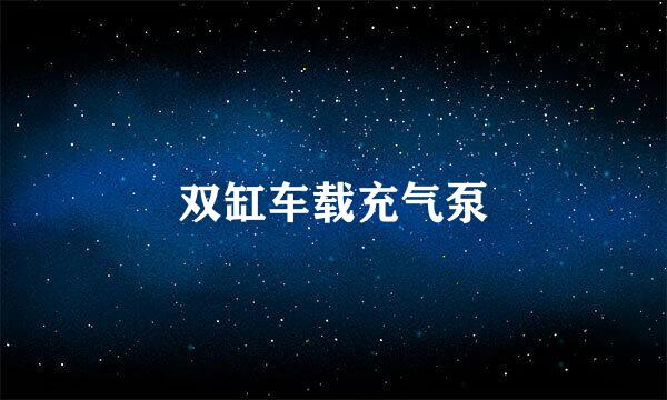 双缸车载充气泵