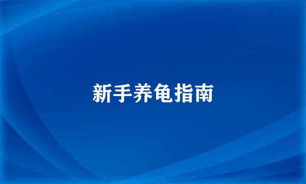 新手养龟指南