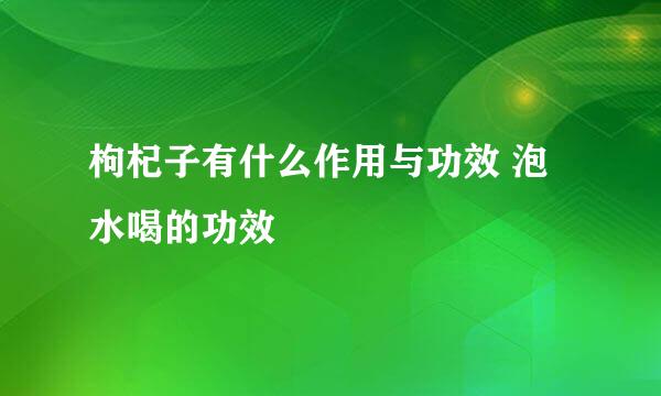 枸杞子有什么作用与功效 泡水喝的功效