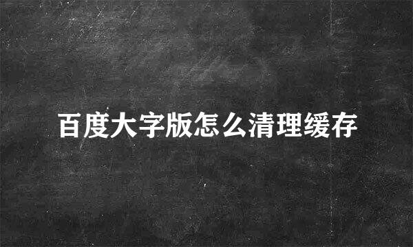 百度大字版怎么清理缓存