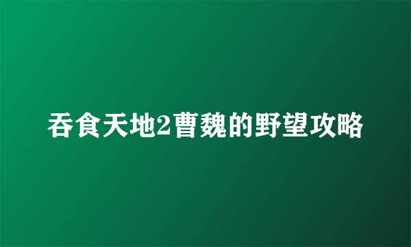 吞食天地2曹魏的野望攻略