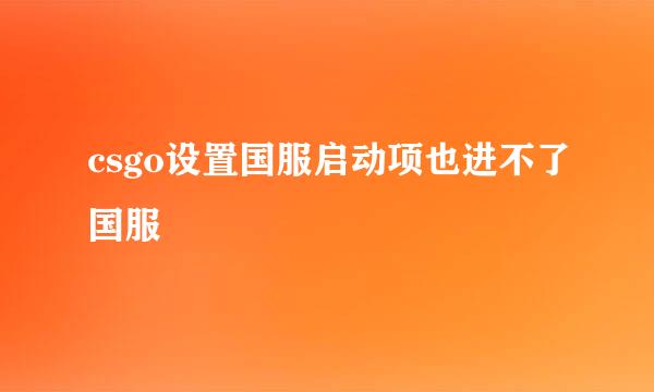 csgo设置国服启动项也进不了国服