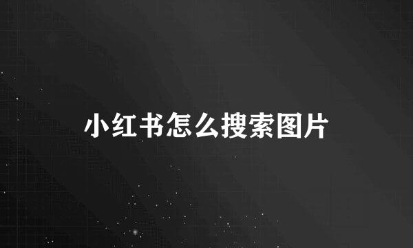 小红书怎么搜索图片