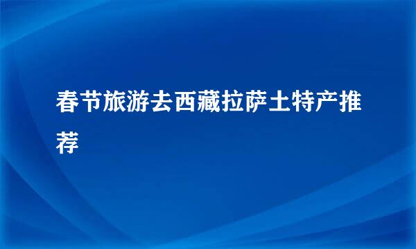 春节旅游去西藏拉萨土特产推荐