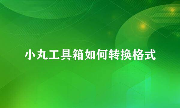 小丸工具箱如何转换格式