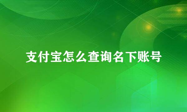 支付宝怎么查询名下账号