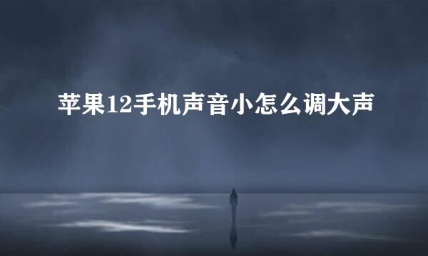 苹果12手机声音小怎么调大声