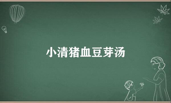 小清猪血豆芽汤