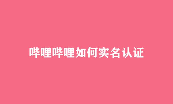 哔哩哔哩如何实名认证