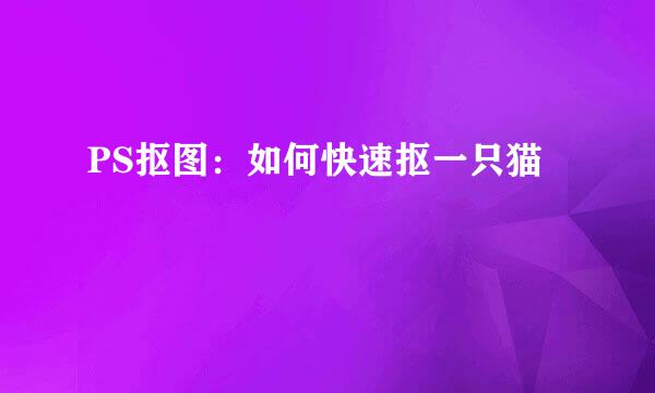 PS抠图：如何快速抠一只猫