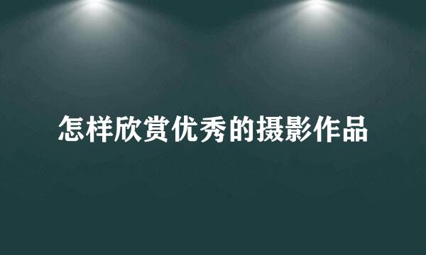 怎样欣赏优秀的摄影作品