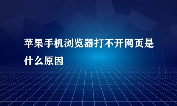 苹果手机浏览器打不开网页是什么原因