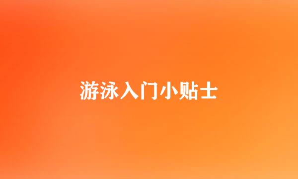 游泳入门小贴士