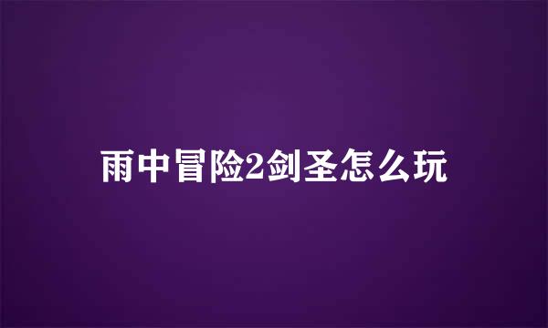 雨中冒险2剑圣怎么玩