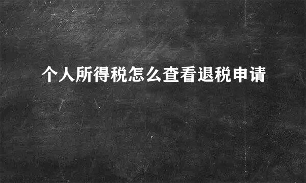 个人所得税怎么查看退税申请