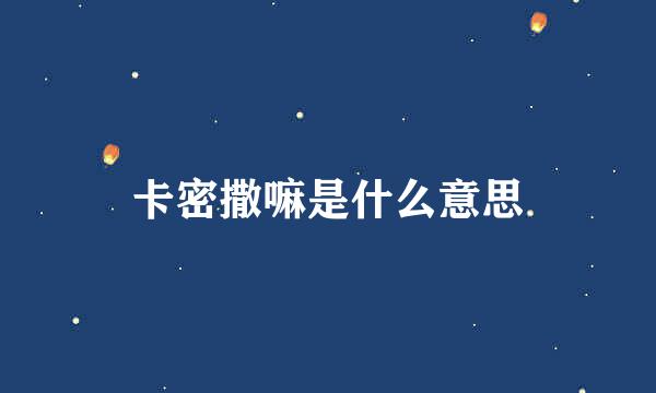 卡密撒嘛是什么意思