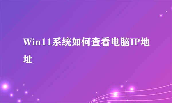 Win11系统如何查看电脑IP地址