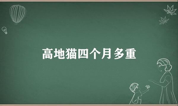 高地猫四个月多重