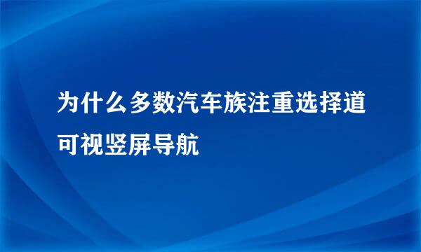 为什么多数汽车族注重选择道可视竖屏导航
