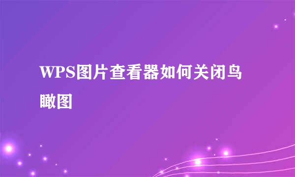 WPS图片查看器如何关闭鸟瞰图