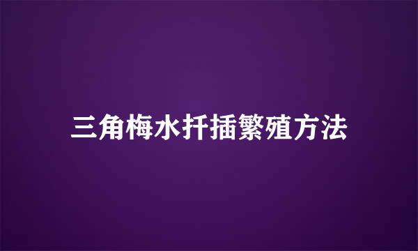 三角梅水扦插繁殖方法