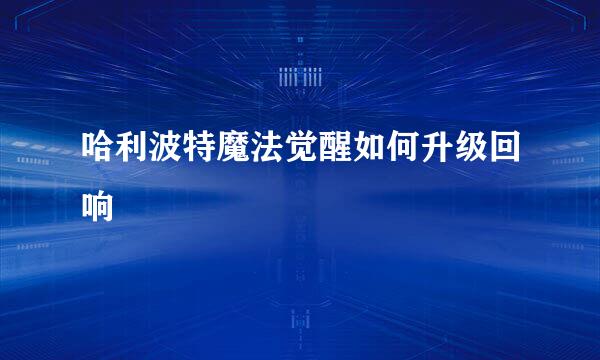 哈利波特魔法觉醒如何升级回响