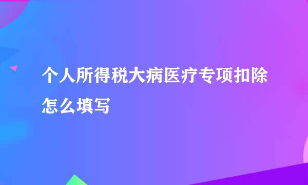 个人所得税大病医疗专项扣除怎么填写