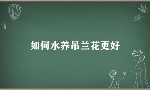 如何水养吊兰花更好