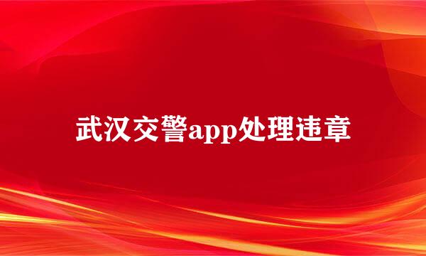 武汉交警app处理违章