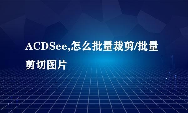 ACDSee,怎么批量裁剪/批量剪切图片
