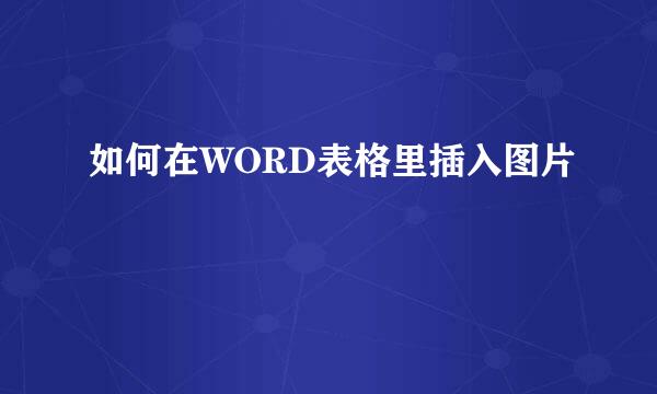 如何在WORD表格里插入图片
