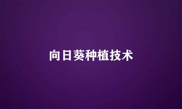 向日葵种植技术