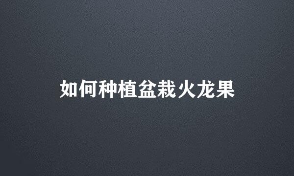 如何种植盆栽火龙果