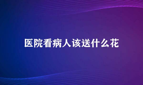 医院看病人该送什么花