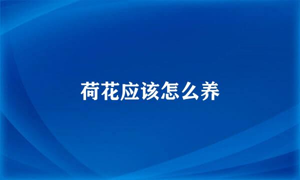 荷花应该怎么养