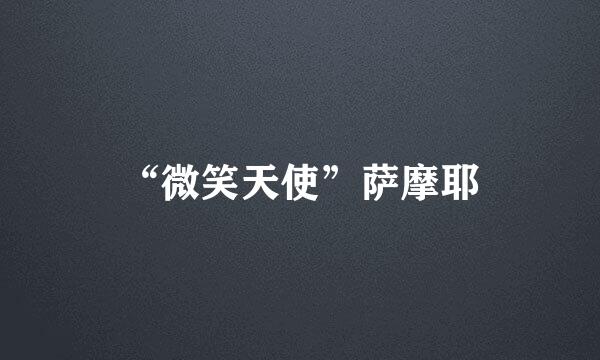 “微笑天使”萨摩耶