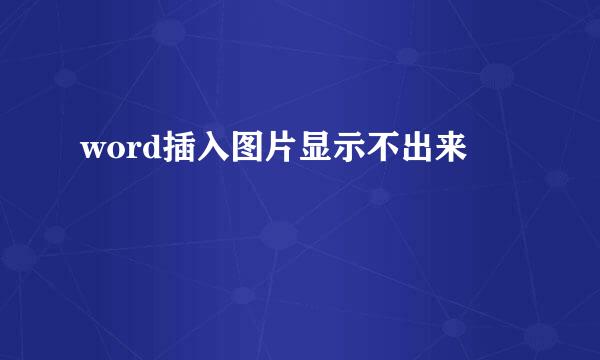word插入图片显示不出来
