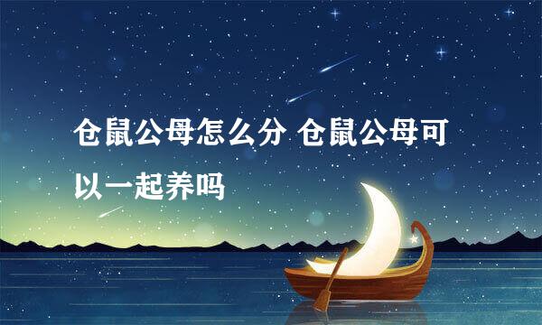 仓鼠公母怎么分 仓鼠公母可以一起养吗