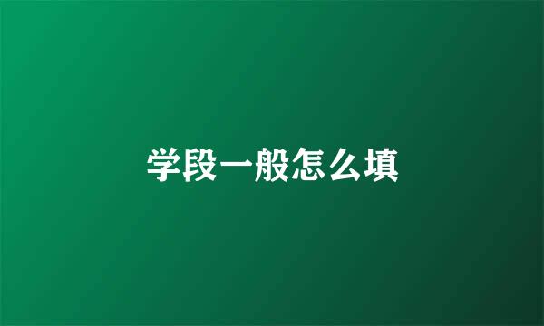 学段一般怎么填